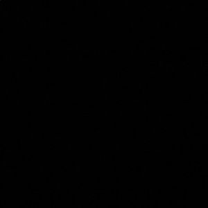 Meet your Posher, Arianna